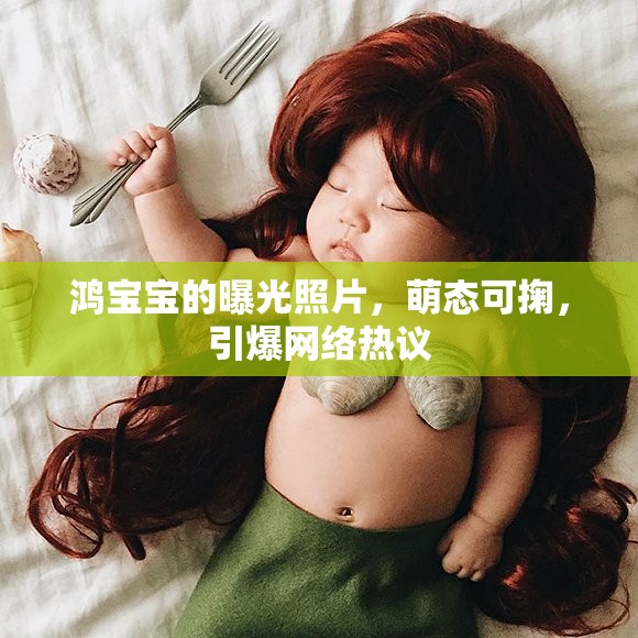 鴻寶寶的曝光照片，萌態(tài)可掬，引爆網(wǎng)絡(luò)熱議