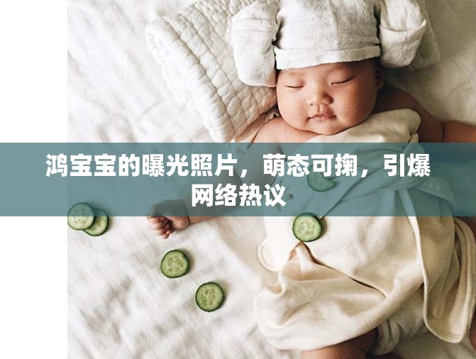 鴻寶寶的曝光照片，萌態(tài)可掬，引爆網(wǎng)絡(luò)熱議