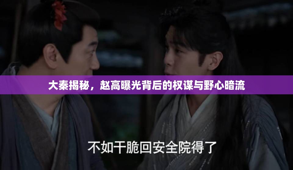 大秦揭秘，趙高曝光背后的權謀與野心暗流