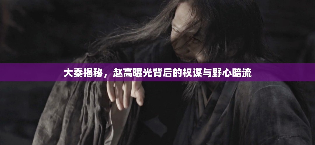 大秦揭秘，趙高曝光背后的權謀與野心暗流
