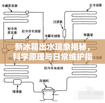 新冰箱出水現(xiàn)象揭秘，科學(xué)原理與日常維護(hù)指南
