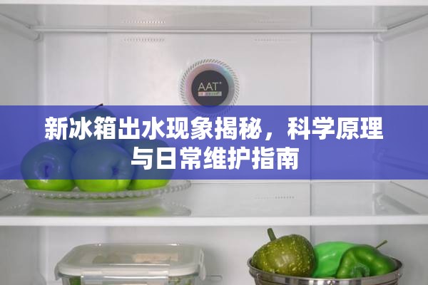 新冰箱出水現(xiàn)象揭秘，科學(xué)原理與日常維護(hù)指南