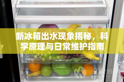 新冰箱出水現(xiàn)象揭秘，科學(xué)原理與日常維護(hù)指南