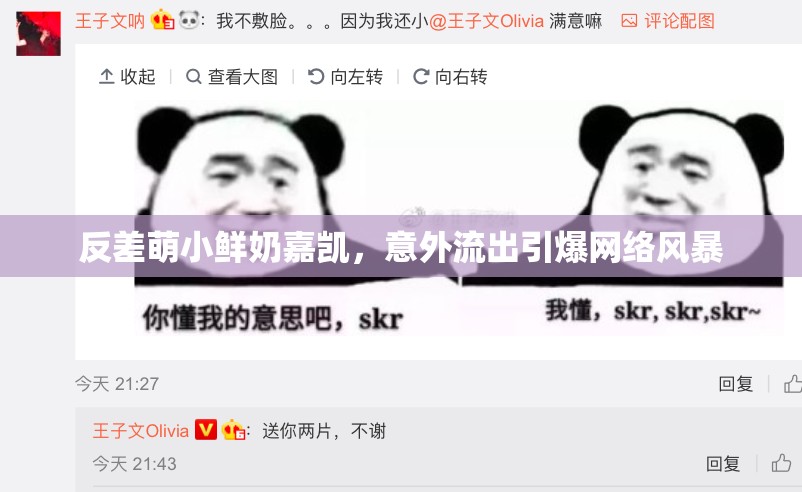 反差萌小鮮奶嘉凱，意外流出引爆網(wǎng)絡風暴