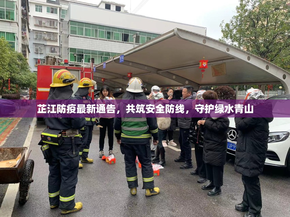 芷江防疫最新通告，共筑安全防線，守護(hù)綠水青山
