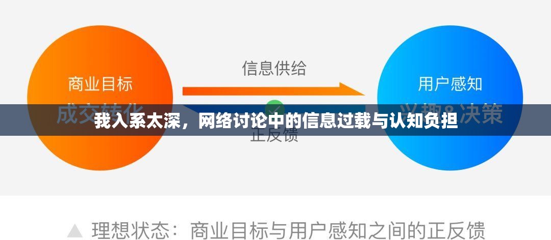 我入系太深，網(wǎng)絡(luò)討論中的信息過(guò)載與認(rèn)知負(fù)擔(dān)