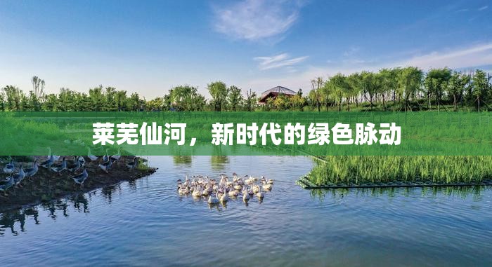 萊蕪仙河，新時代的綠色脈動