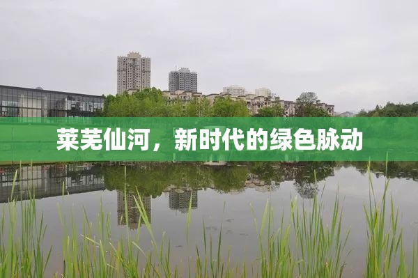 萊蕪仙河，新時代的綠色脈動