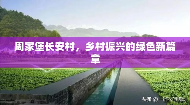 周家堡長安村，鄉(xiāng)村振興的綠色新篇章