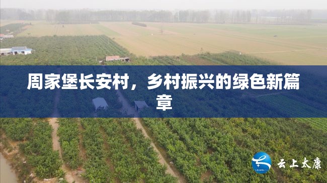 周家堡長安村，鄉(xiāng)村振興的綠色新篇章