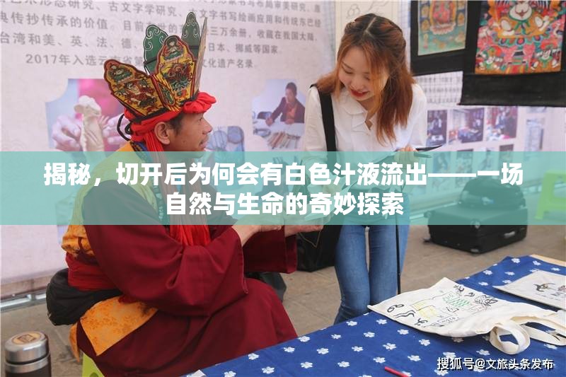 揭秘，切開(kāi)后為何會(huì)有白色汁液流出——一場(chǎng)自然與生命的奇妙探索