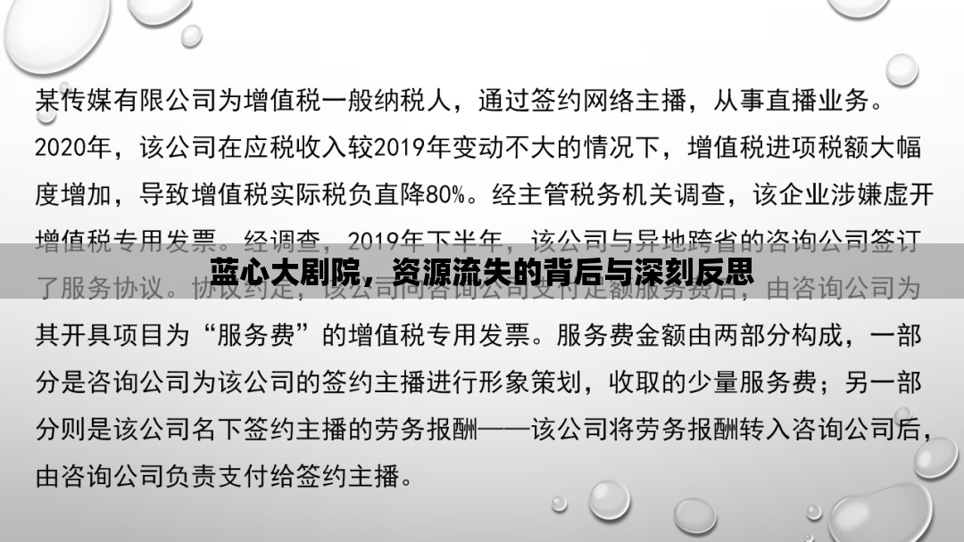 藍(lán)心大劇院，資源流失的背后與深刻反思