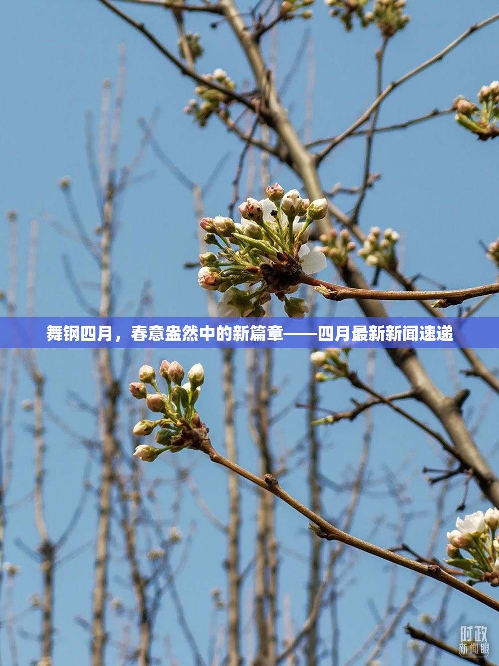 舞鋼四月，春意盎然中的新篇章——四月最新新聞速遞