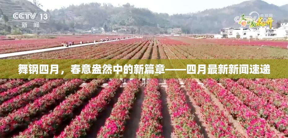 舞鋼四月，春意盎然中的新篇章——四月最新新聞速遞