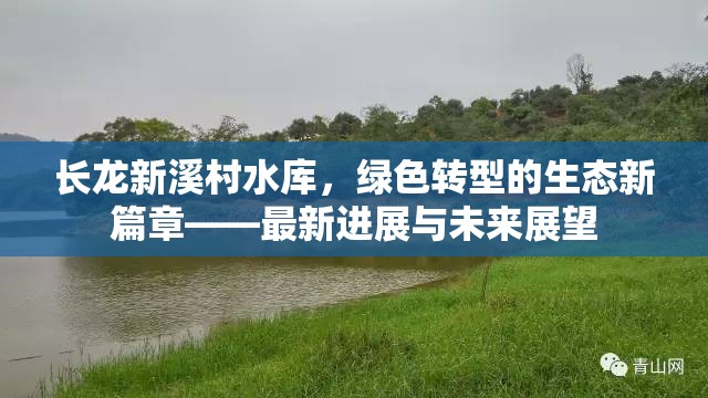 長龍新溪村水庫，綠色轉(zhuǎn)型的生態(tài)新篇章——最新進(jìn)展與未來展望