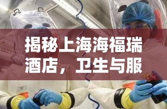 揭秘上海海福瑞酒店，衛(wèi)生與服務(wù)背后的隱秘真相