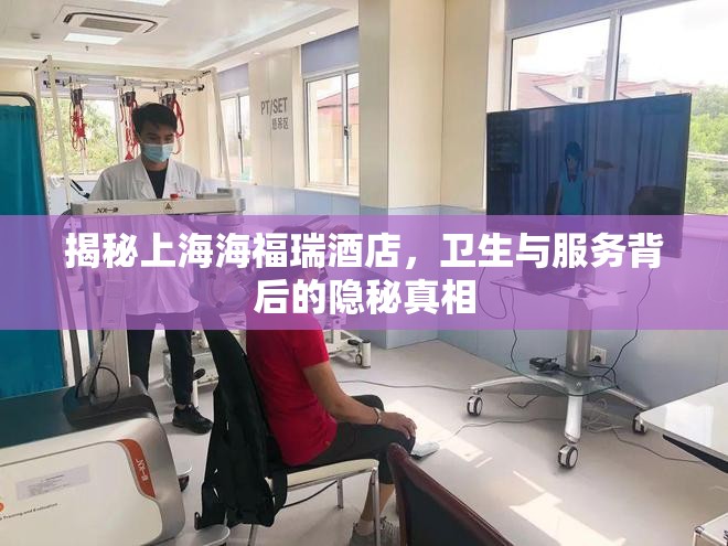 揭秘上海海福瑞酒店，衛(wèi)生與服務(wù)背后的隱秘真相