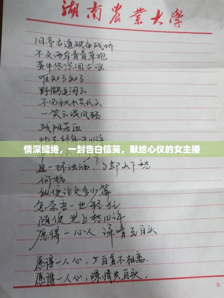 情深繾綣，一封告白信箋，獻給心儀的女主播