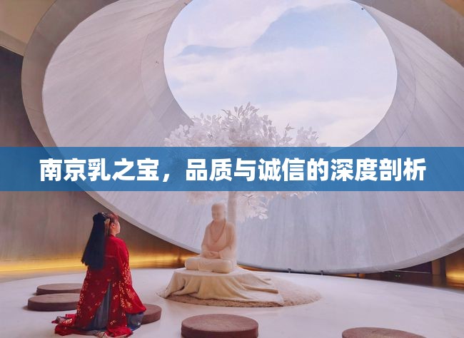 南京乳之寶，品質(zhì)與誠(chéng)信的深度剖析