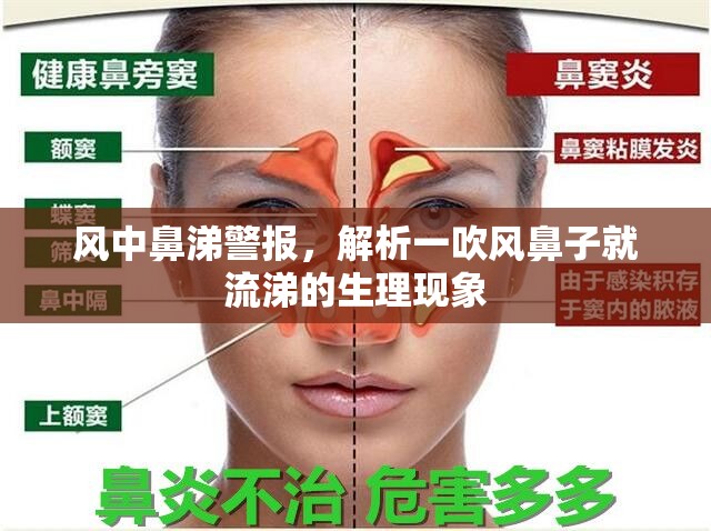 風(fēng)中鼻涕警報(bào)，解析一吹風(fēng)鼻子就流涕的生理現(xiàn)象