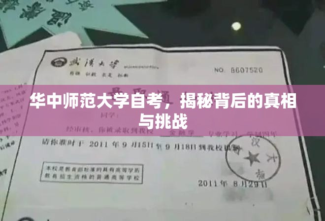 華中師范大學(xué)自考，揭秘背后的真相與挑戰(zhàn)