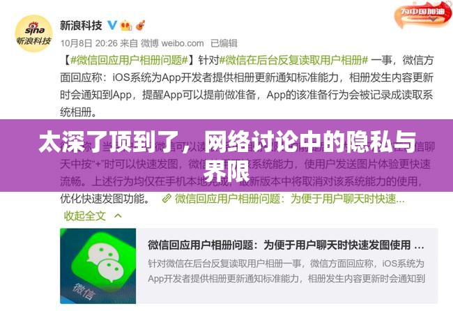 太深了頂?shù)搅?，網(wǎng)絡(luò)討論中的隱私與界限