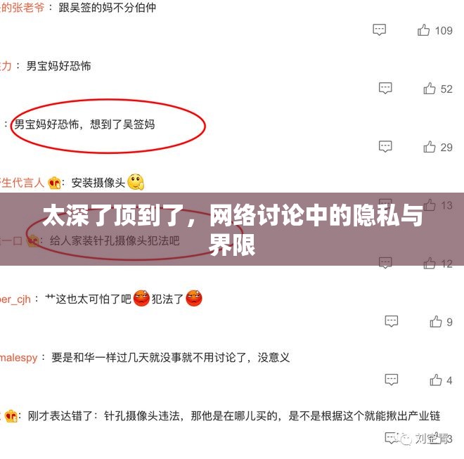 太深了頂?shù)搅?，網(wǎng)絡(luò)討論中的隱私與界限