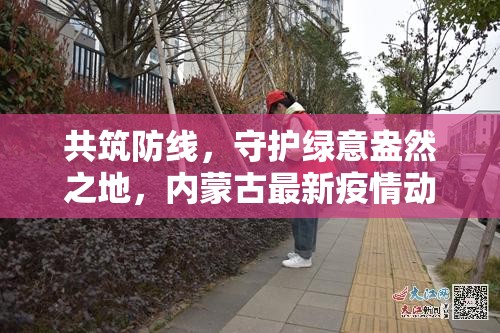 共筑防線，守護綠意盎然之地，內(nèi)蒙古最新疫情動態(tài)