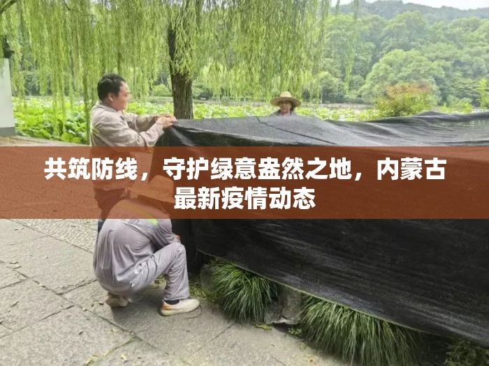 共筑防線，守護綠意盎然之地，內(nèi)蒙古最新疫情動態(tài)