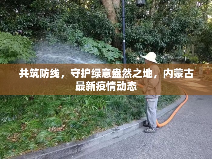 共筑防線，守護綠意盎然之地，內(nèi)蒙古最新疫情動態(tài)