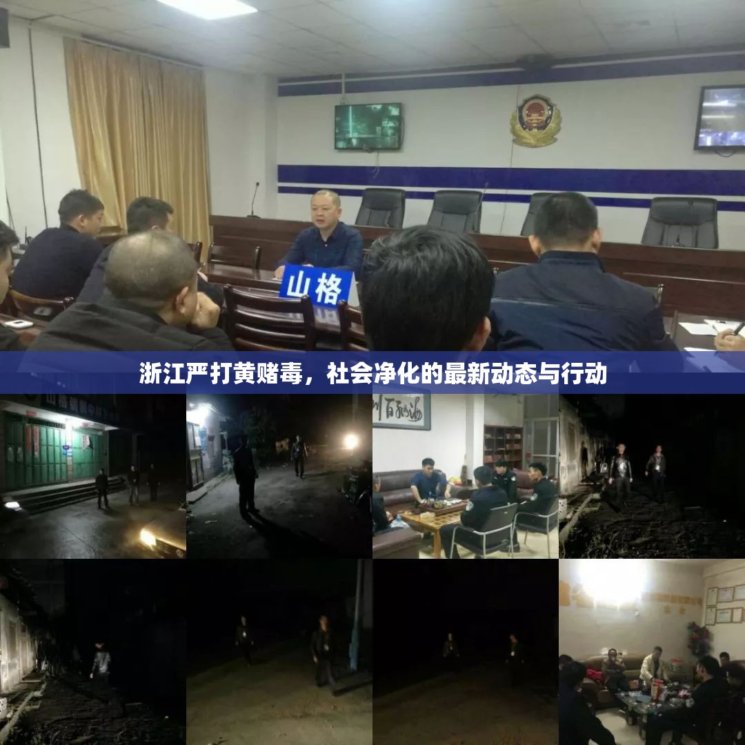 浙江嚴打黃賭毒，社會凈化的最新動態(tài)與行動