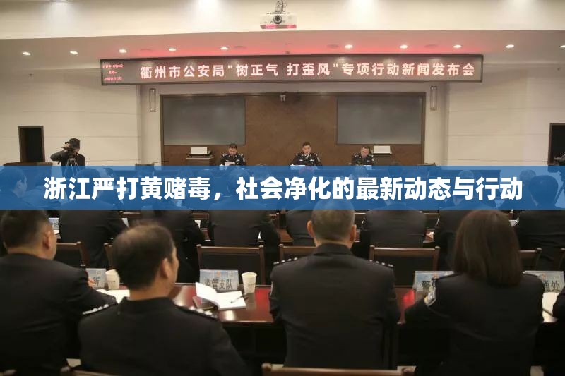 浙江嚴打黃賭毒，社會凈化的最新動態(tài)與行動