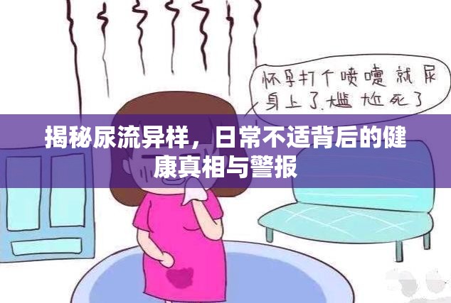 揭秘尿流異樣，日常不適背后的健康真相與警報(bào)