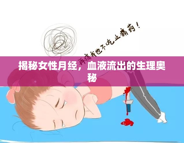 揭秘女性月經(jīng)，血液流出的生理奧秘