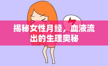 揭秘女性月經(jīng)，血液流出的生理奧秘