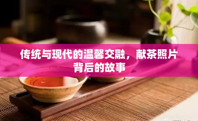 傳統(tǒng)與現(xiàn)代的溫馨交融，獻(xiàn)茶照片背后的故事