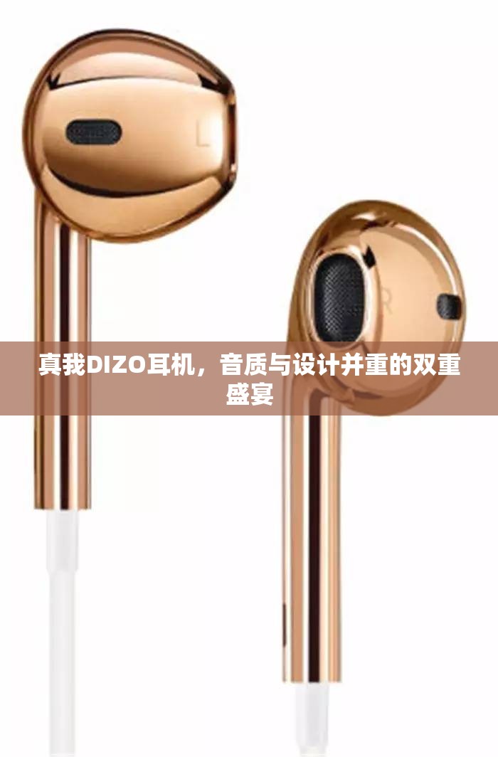 真我DIZO耳機，音質(zhì)與設計并重的雙重盛宴