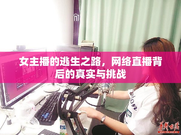 女主播的逃生之路，網(wǎng)絡(luò)直播背后的真實(shí)與挑戰(zhàn)