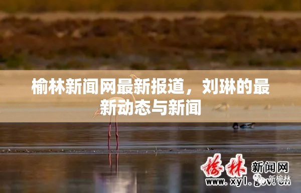 榆林新聞網(wǎng)最新報道，劉琳的最新動態(tài)與新聞
