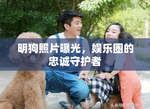 明狗照片曝光，娛樂圈的忠誠守護(hù)者