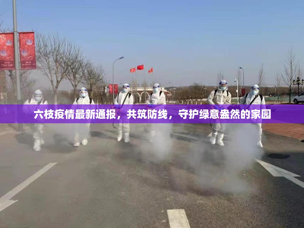 六枝疫情最新通報，共筑防線，守護(hù)綠意盎然的家園