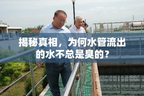 揭秘真相，為何水管流出的水不總是臭的？