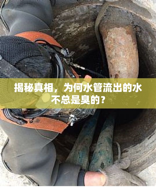 揭秘真相，為何水管流出的水不總是臭的？