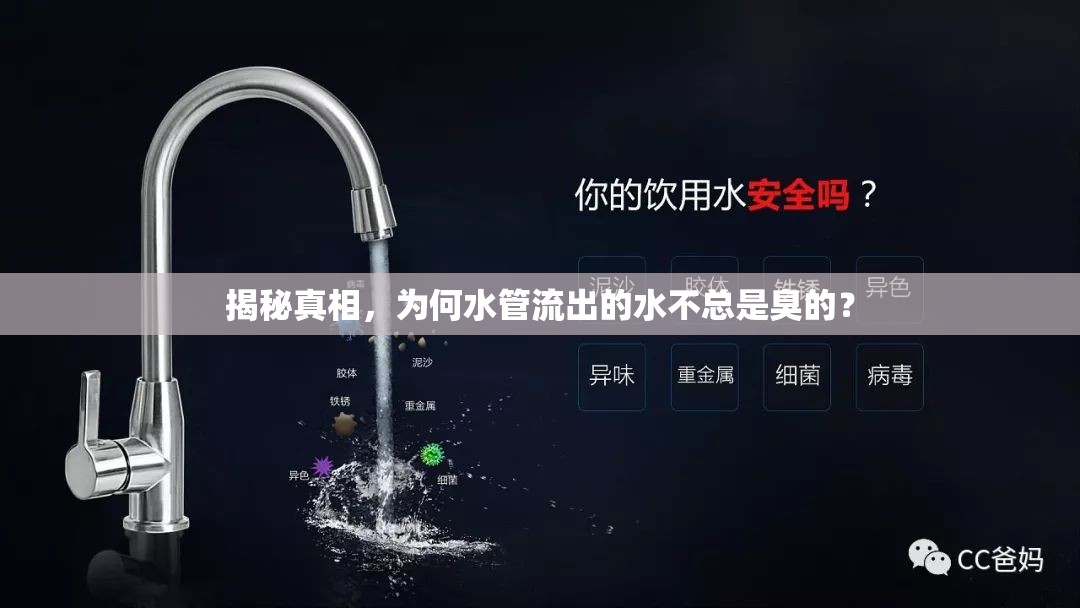 揭秘真相，為何水管流出的水不總是臭的？