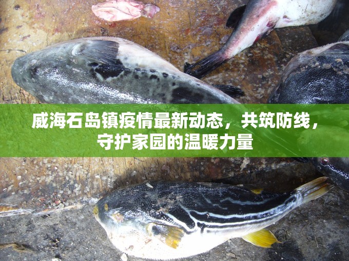 威海石島鎮(zhèn)疫情最新動(dòng)態(tài)，共筑防線，守護(hù)家園的溫暖力量