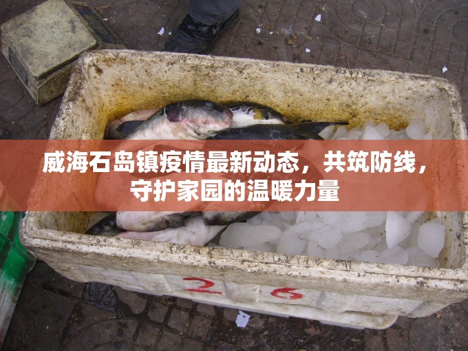 威海石島鎮(zhèn)疫情最新動(dòng)態(tài)，共筑防線，守護(hù)家園的溫暖力量
