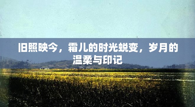 舊照映今，霜兒的時(shí)光蛻變，歲月的溫柔與印記