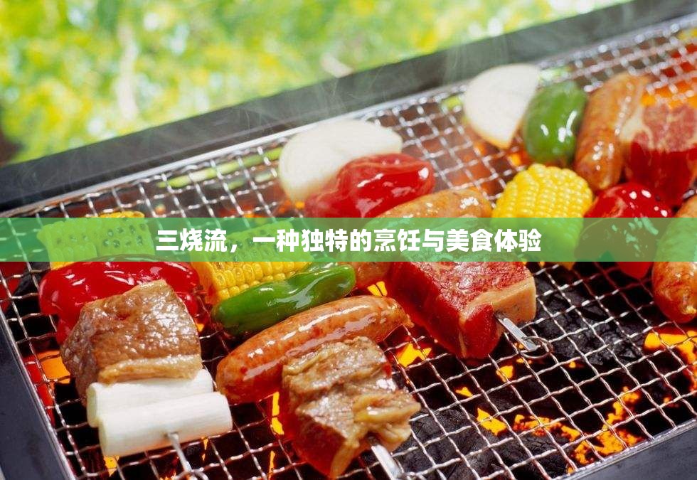 三燒流，一種獨(dú)特的烹飪與美食體驗(yàn)