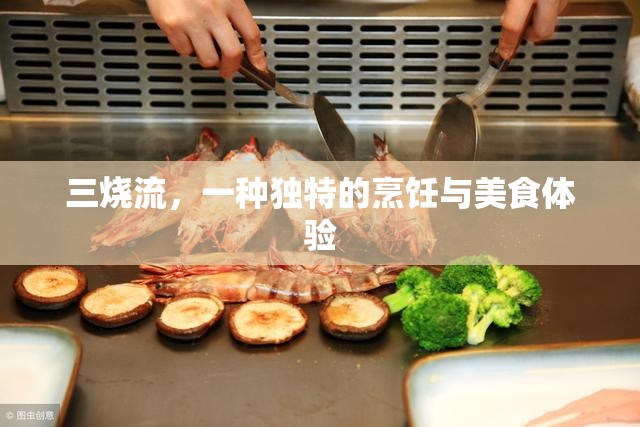 三燒流，一種獨(dú)特的烹飪與美食體驗(yàn)
