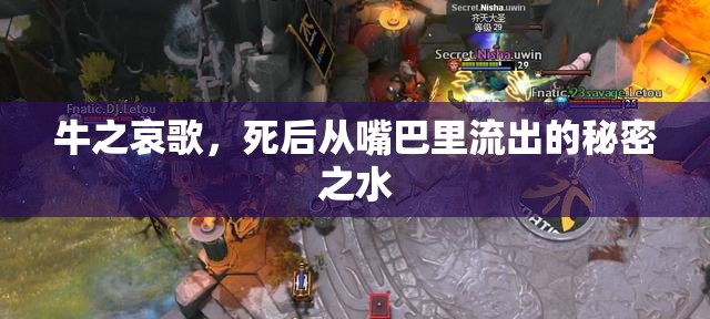 牛之哀歌，死后從嘴巴里流出的秘密之水